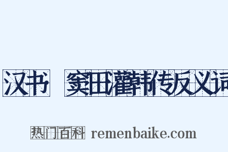 汉书·窦田灌韩传反义词是什么意思的图片